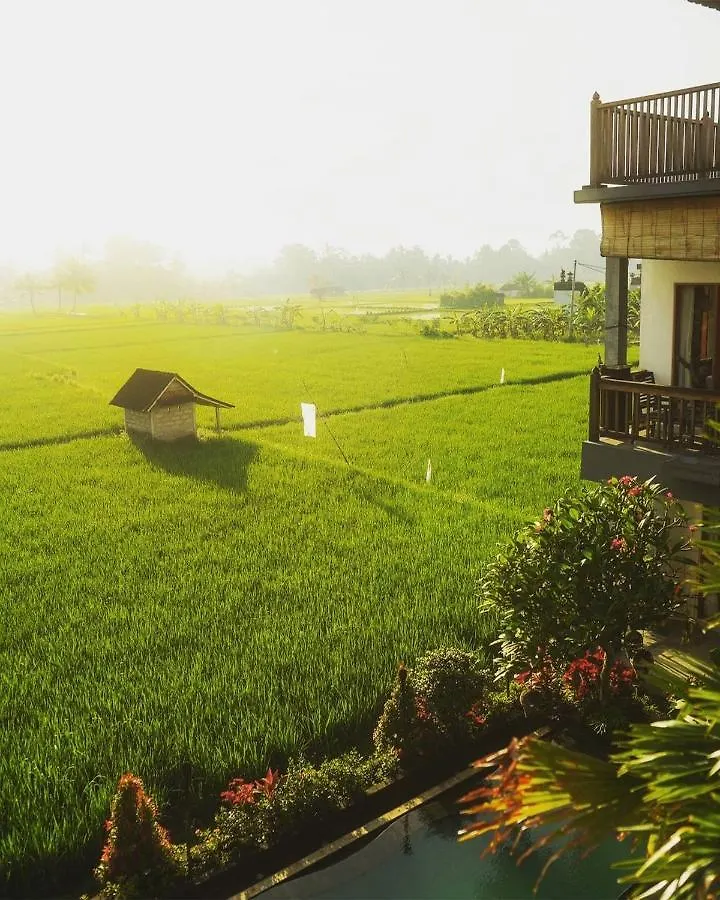 *** Hotel Villa Silas Ubud Indonezja